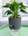 Double Layer Plastic Watering Planter