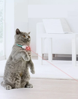 Smart Laser Tease Cat Collar