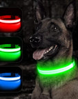 Glowing Dog Collar