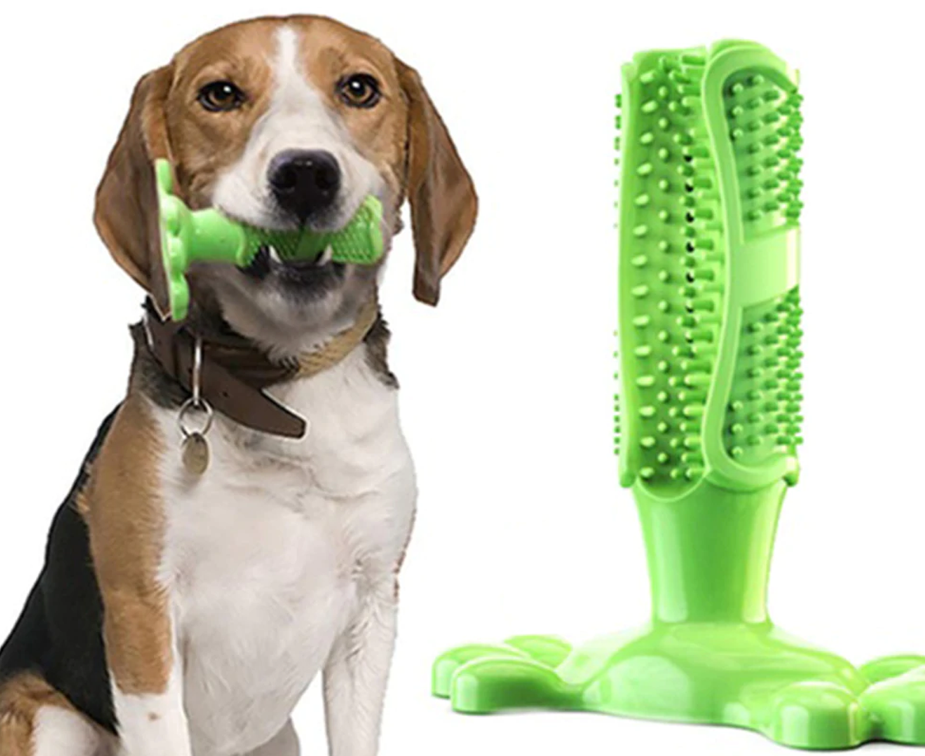 Natural Rubber Dog Toothbrush