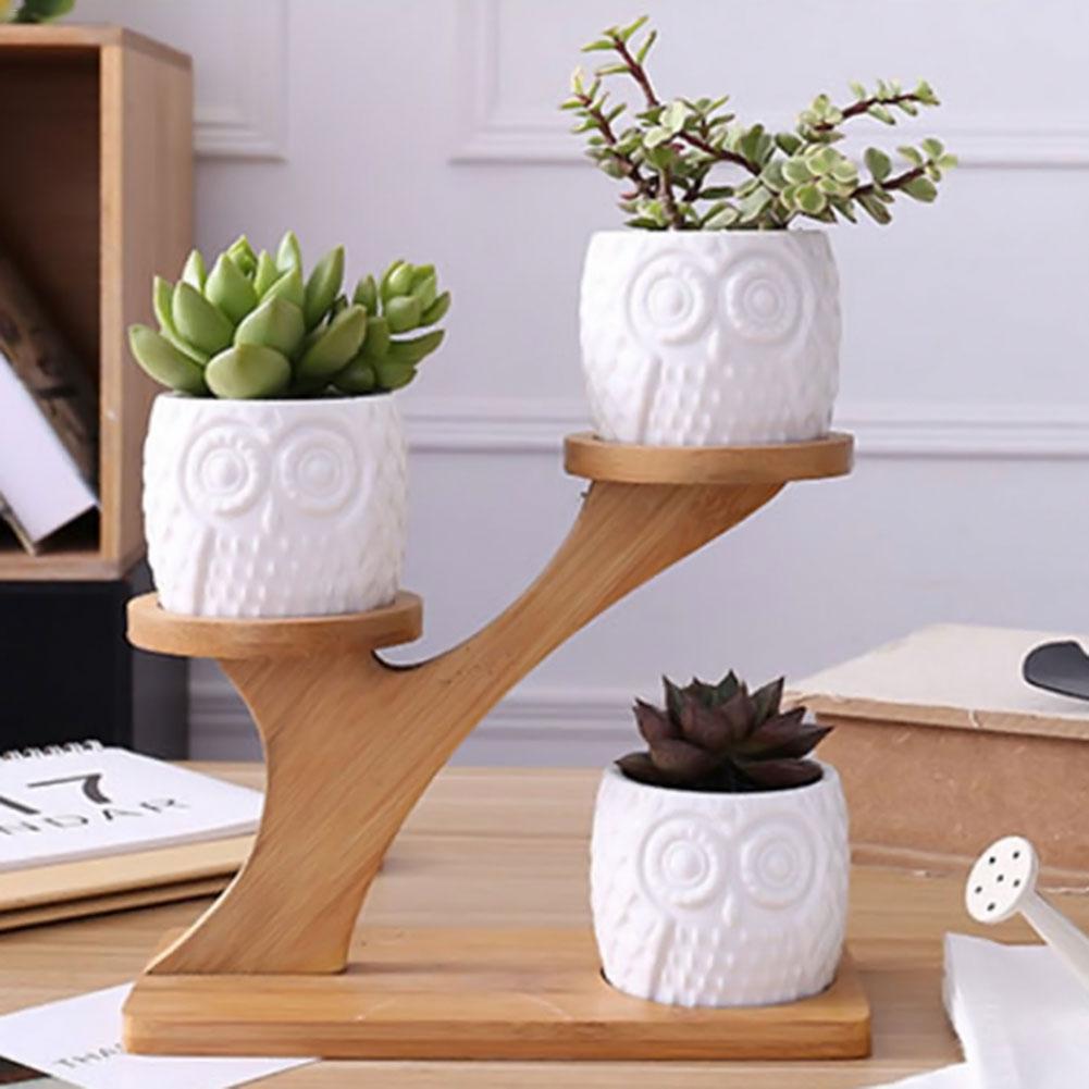 Succulent Plant Ceramic Owl Treetop