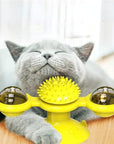 Windmill Interactive Cat Toy