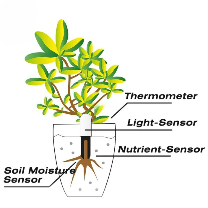 Plant Fertility Smart Sensor