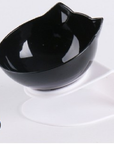 Pet Double Cat Bowl With Raised Stand