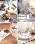 Pet Double Cat Bowl With Raised Stand